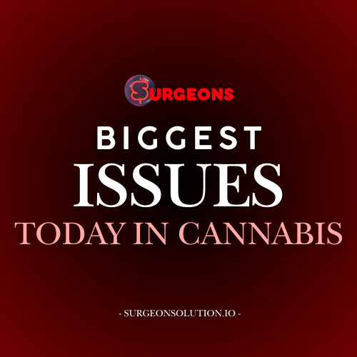 Biggest Challanges in the Cannabis Industry: State Confusion