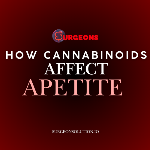How CBD Affects Appetite: Understanding Appetite Changes and Wellness Benefits