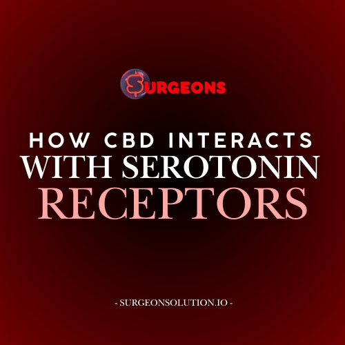 How CBD Interacts with Serotonin Receptors to Support Mood and Relaxation