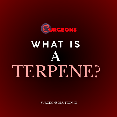 What is a terpene: Explaining the scent profiles of nature