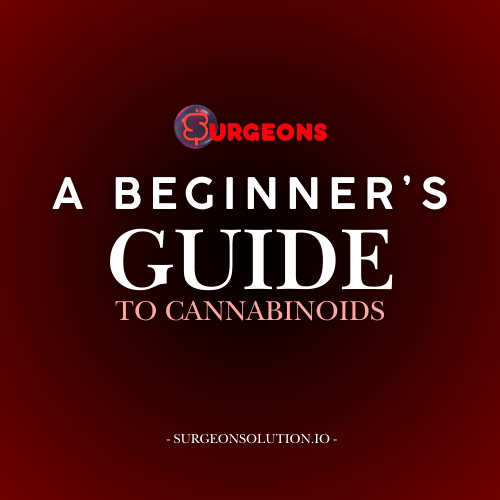 A beginner's guide to CBD & cannabinoids